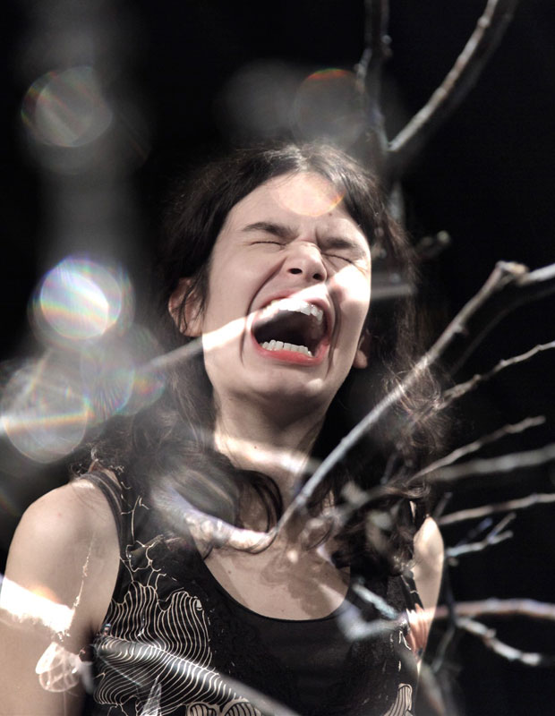 La jeune femme à la licorne