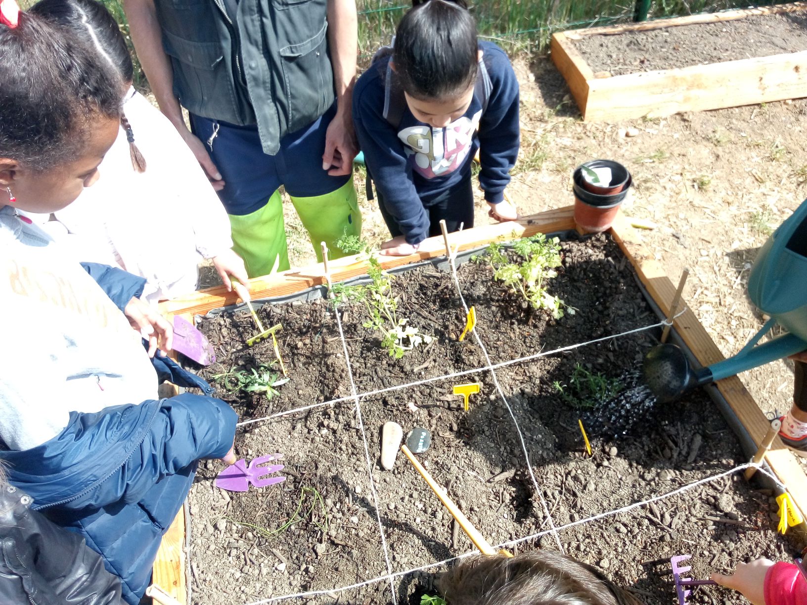2019 04 19 jardin atelier avec cm 1 olympede gouges IMG 20190419 112625851