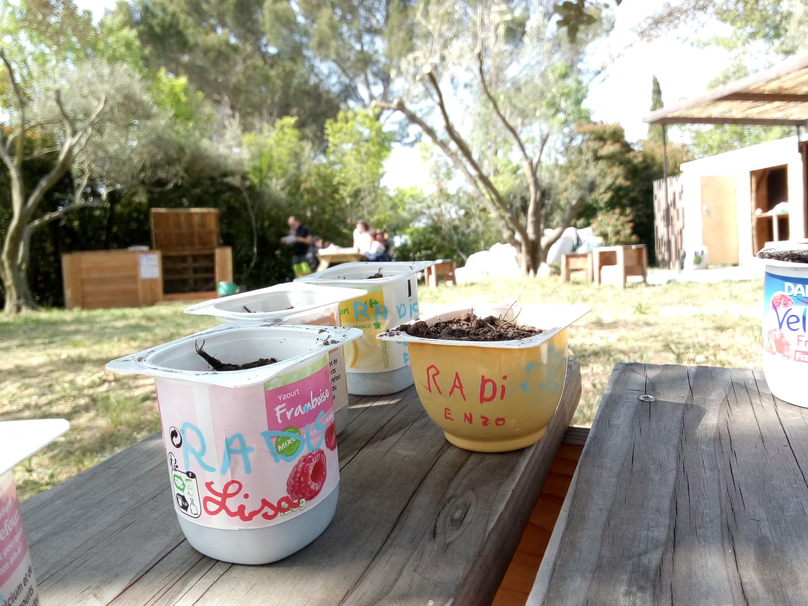 2019 04 19 jardin photos laurie martin IMG 20190419 105645667
