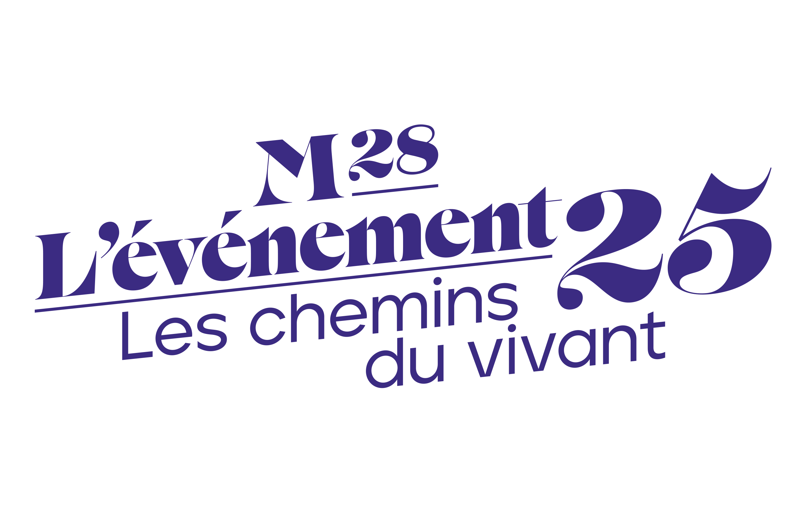 M28LEV25