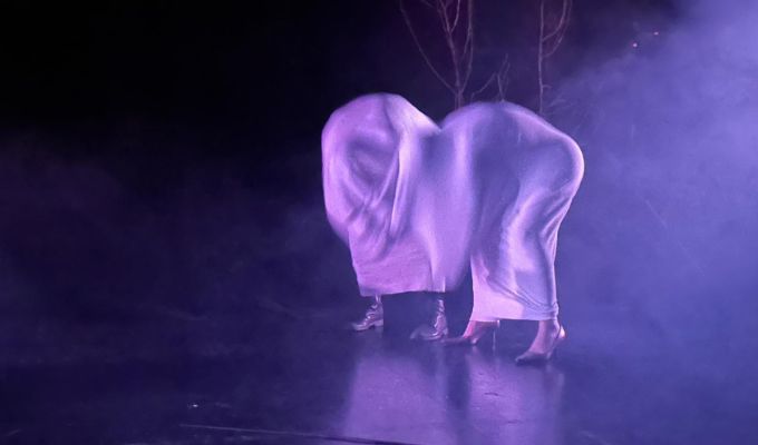 Photo-du-spectacle-metamorphoses-du-groupeO Photo-du-spectacle-metamorphoses-du-groupeO